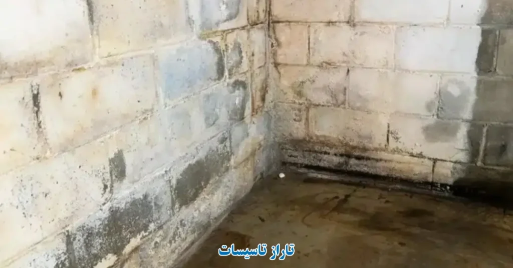 روش های از بین بردن بوی نم در زیرزمین