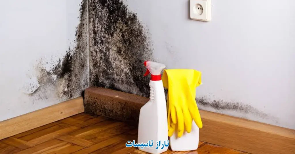 رفع لکه های نم و رطوبت با تاراز تاسیسات