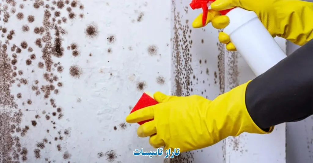 نحوه رفع لکه های زرد و سیاه ناشی از نم و رطوبت