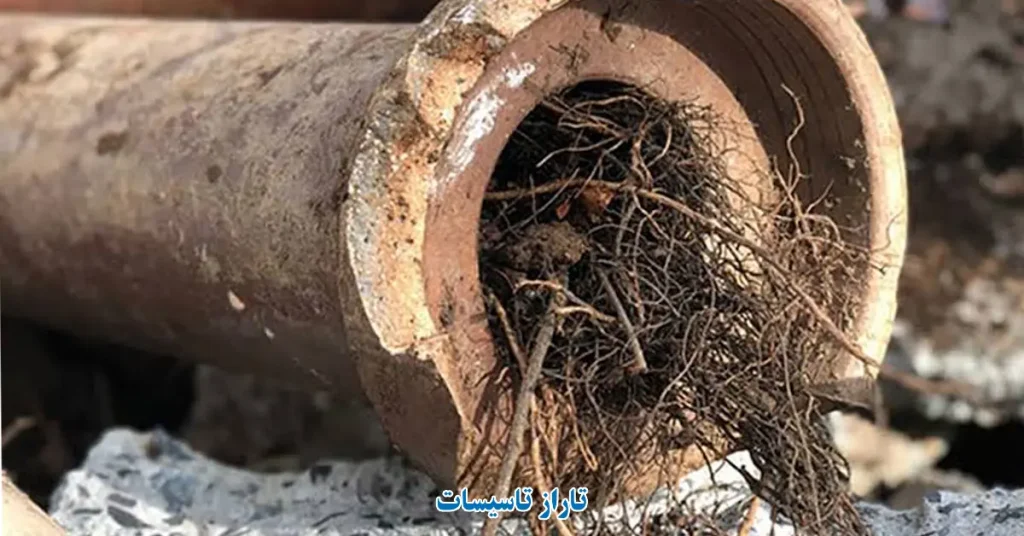 گرفتگی لوله فاضلاب به دلیل نفوذ ریشه درخت