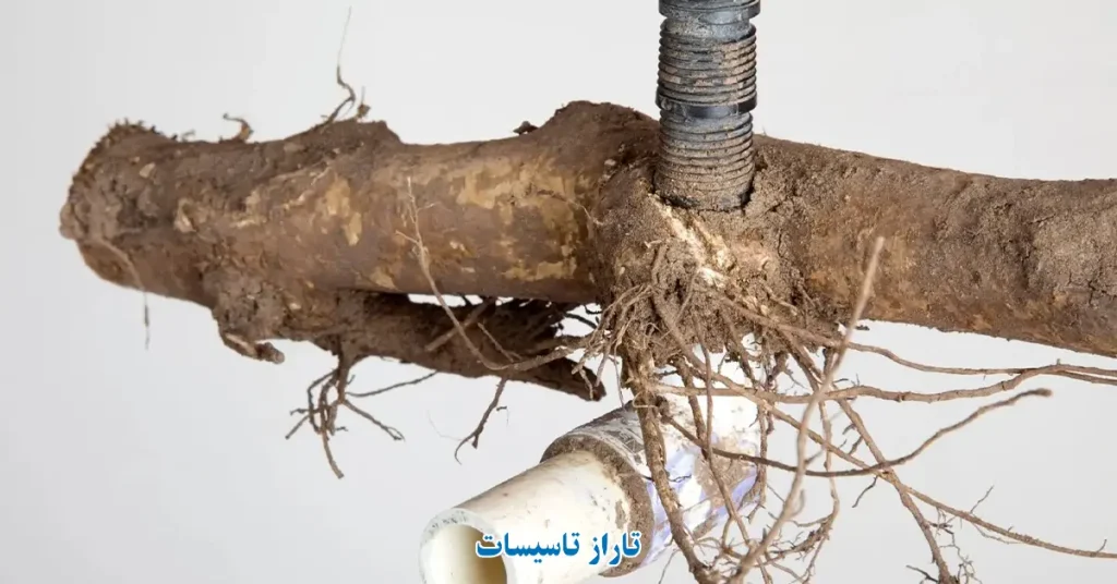 رفع گرفتگی لوله فاضلاب به کمک متخصصان تاراز تاسیسات