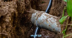 گرفتگی لوله فاضلاب به دلیل نفوذ ریشه درخت؛ علائم، روش رفع و پیشگیری